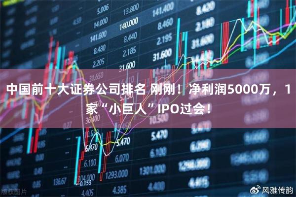 中国前十大证券公司排名 刚刚！净利润5000万，1家“小巨人”IPO过会！