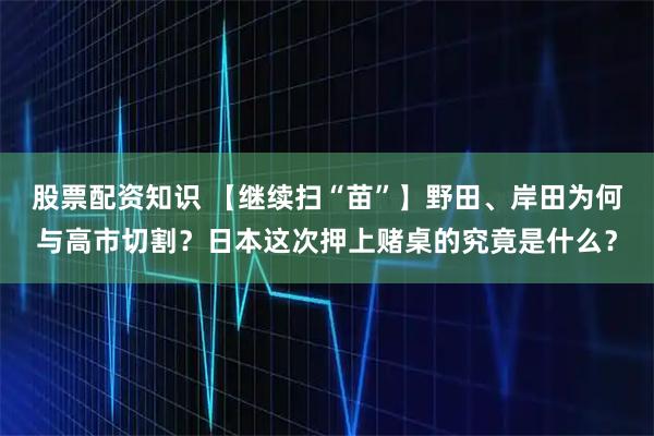 股票配资知识 【继续扫“苗”】野田、岸田为何与高市切割？日本这次押上赌桌的究竟是什么？